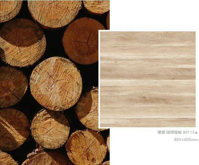 仿古磚加盟,仿古磚招商,仿古磚十大品牌,金達雅瓷磚,噴墨磚